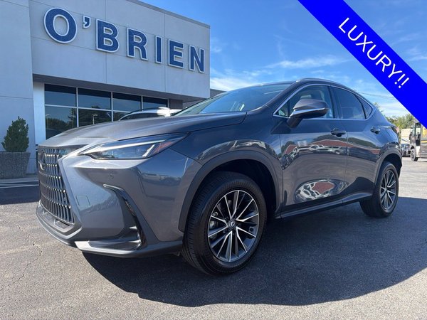 2024 Lexus NX